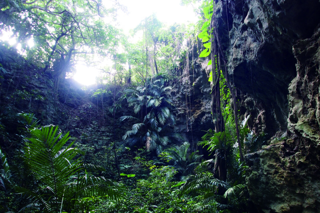Yajia Cave